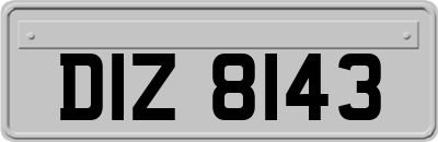 DIZ8143