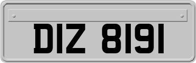DIZ8191