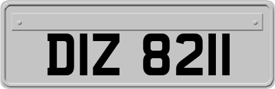 DIZ8211