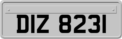 DIZ8231