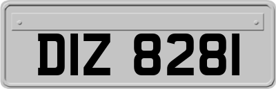 DIZ8281