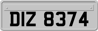DIZ8374