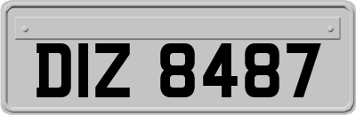 DIZ8487