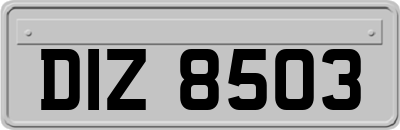 DIZ8503