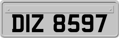 DIZ8597