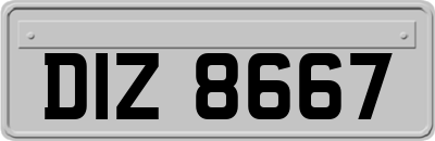DIZ8667