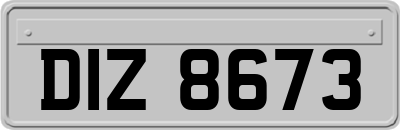 DIZ8673