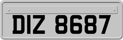 DIZ8687