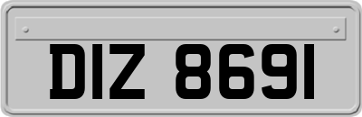 DIZ8691
