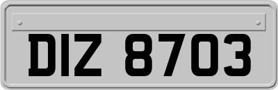 DIZ8703