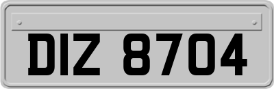 DIZ8704