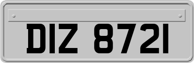 DIZ8721