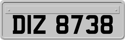 DIZ8738
