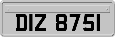 DIZ8751