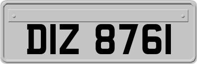 DIZ8761