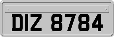 DIZ8784