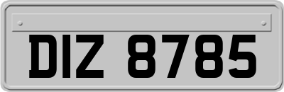 DIZ8785