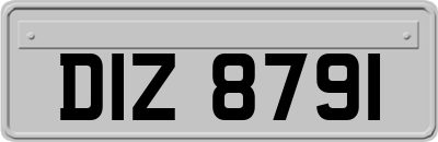 DIZ8791