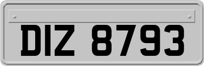 DIZ8793