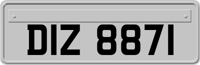 DIZ8871
