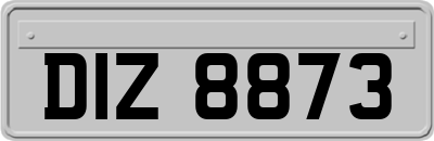 DIZ8873