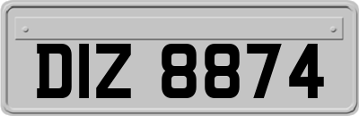 DIZ8874