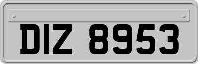 DIZ8953
