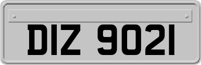 DIZ9021