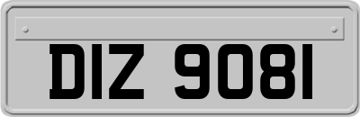 DIZ9081