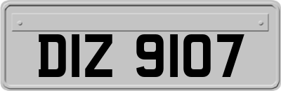 DIZ9107