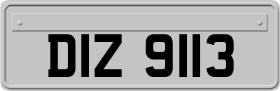 DIZ9113