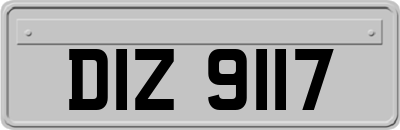 DIZ9117