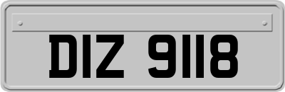 DIZ9118
