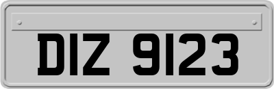 DIZ9123