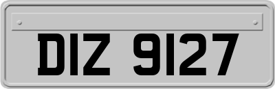 DIZ9127