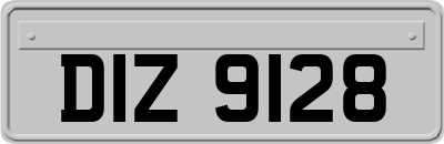 DIZ9128