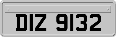 DIZ9132