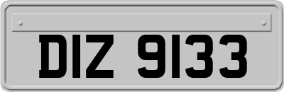 DIZ9133