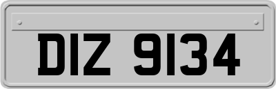 DIZ9134
