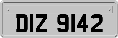 DIZ9142