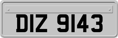 DIZ9143