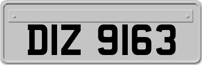 DIZ9163