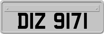 DIZ9171