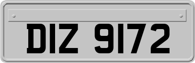 DIZ9172