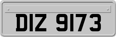 DIZ9173