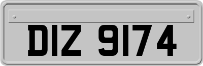 DIZ9174