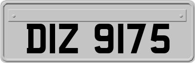 DIZ9175