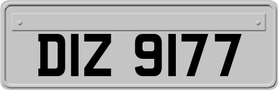 DIZ9177