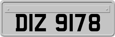 DIZ9178