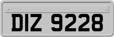 DIZ9228